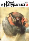 Юный натуралист №03/1991 — обложка книги.